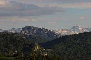 A dark mountain forest set against snow-capped mountain peaks