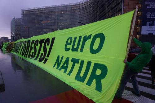 Large EuroNatur protest banner for the protection of forests
