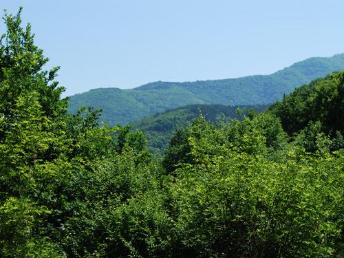 The Belasitsa-Mountains in the Balkan Green Belt where Bulgaria, Macedonia and Greece meet