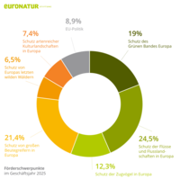 Diagramm Förderschwerpunkte 2025