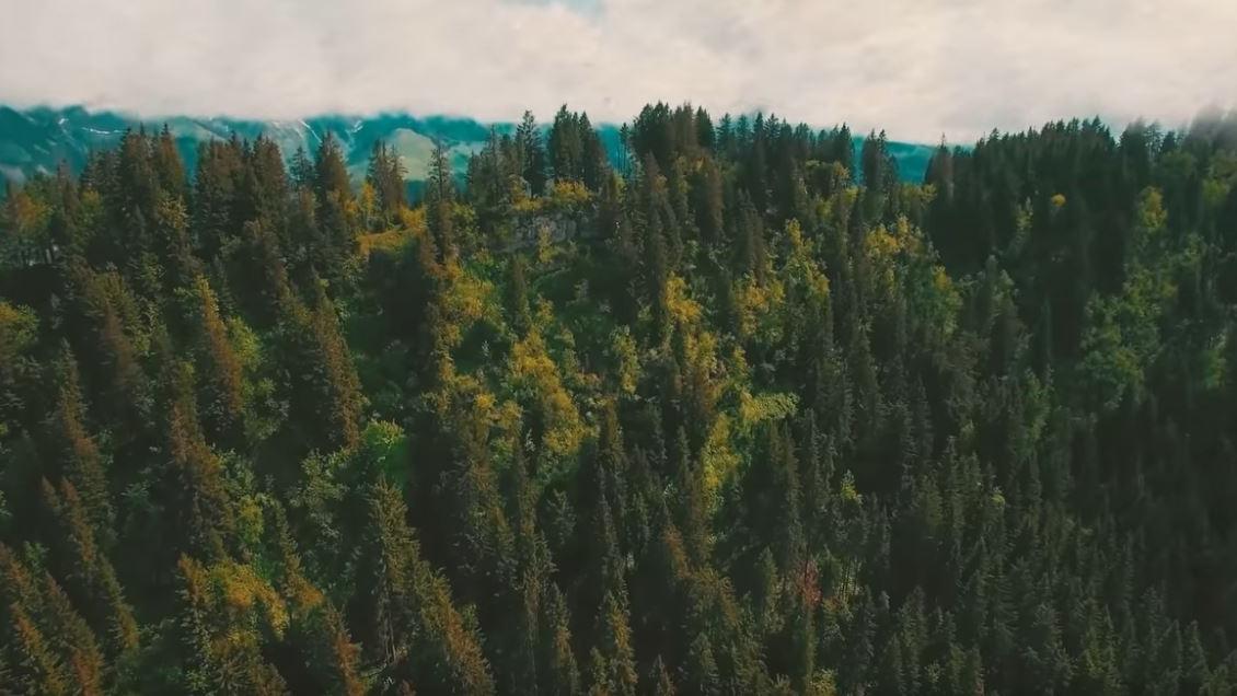 Screenshot von bewaldeten Bergen.