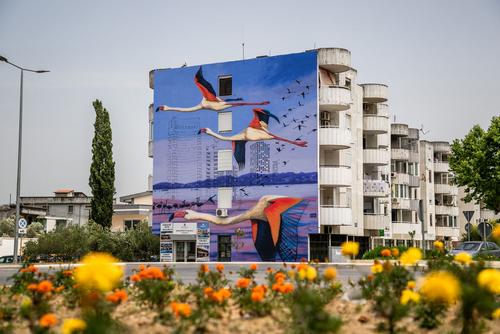 Mural for attention of Ulcinj Salina