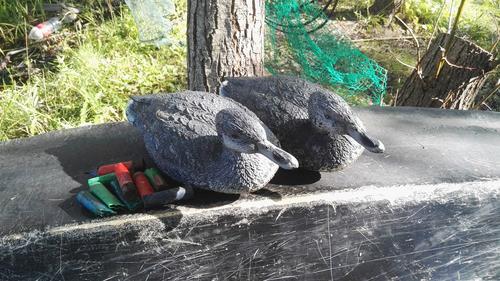 Two decoy ducks for bird hunting and empty cartridge cases