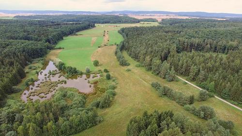 Aerial of forest, meadows and wetlands