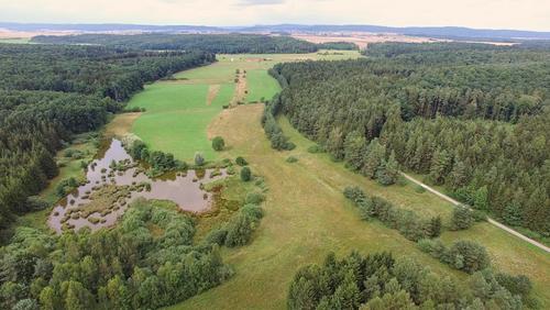 Lufbild von Wald, Wiesen und einem Feuchtgebiet