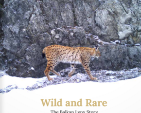 Cover Brochure Wild and Rare