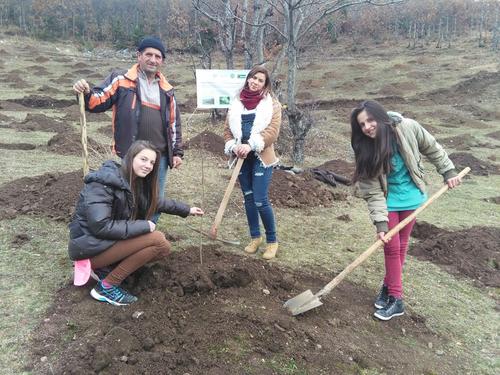 Junge Albanerinnen pflanzen Haselnussbäume