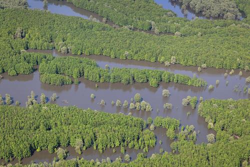 Floodplains of the river Sava