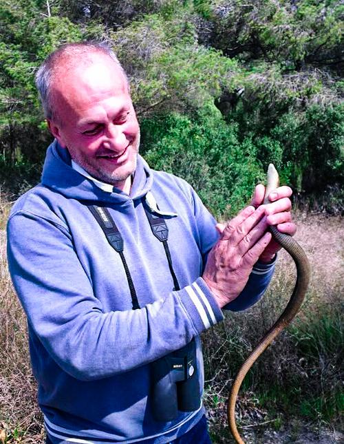 Albanischer Naturschützer hält Schlange in der Hand