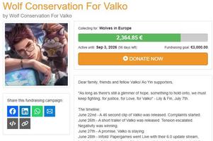 Screenshot Fundraiser for Valko - Spendenaktion für Valko