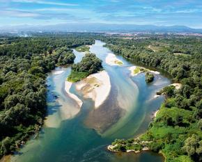 Aerial view of the Sava with alluvial forests and sandbanks.