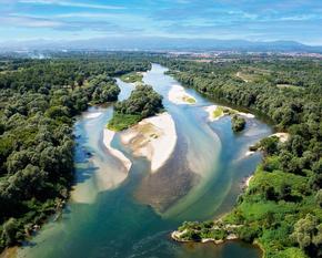 Luftbild der Save mit Auenwäldern und Sandbänken.