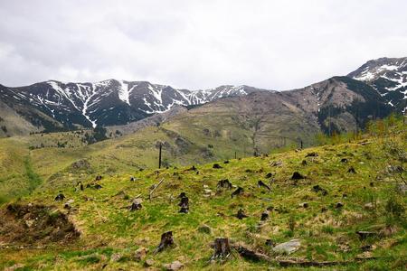 Winter mountain landscape with slopes where only tree stumps remain.