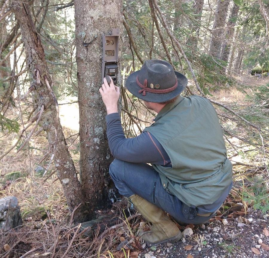 Jäger installiert Wildtierkamera an einem Baum