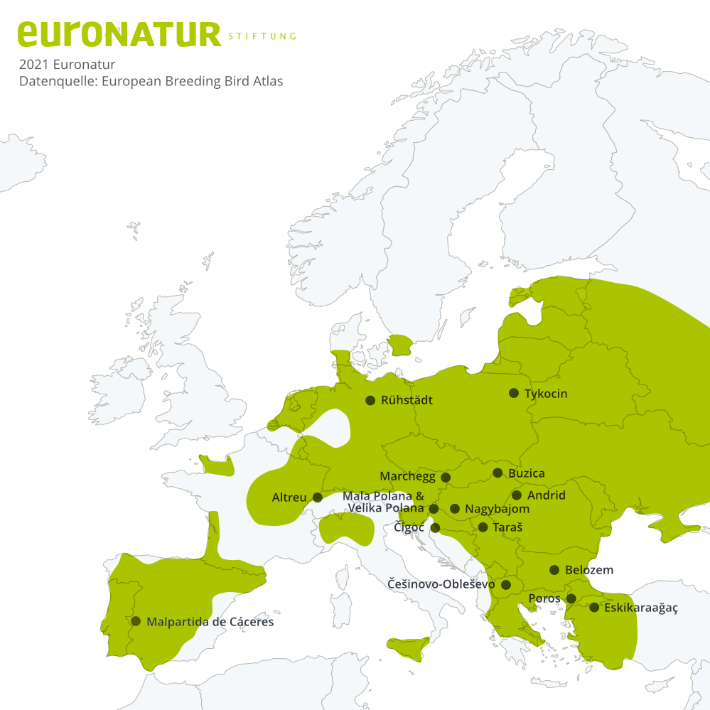Wo Störche in Europa leben, Storchendörfer