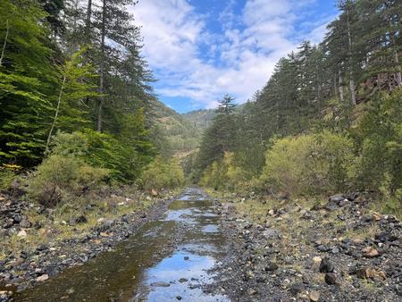 Der früher frei fließende Fluss ist durch einen fehlenden ökologischen Abfluss aus dem Staudamm am Aoos-See auf einen schmalen Bach von gerade einmal 1,3 m Breite reduziert worden.