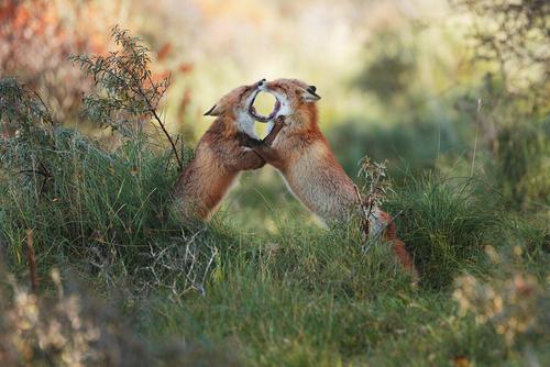 High Noon High Noon