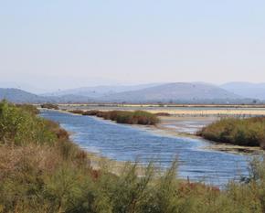 View over the Salina with a flock of birds taking flight