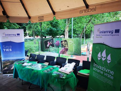 Stand Environmental Day 2019 Ein Info-Stand informiert über invasive Arten an der Save.