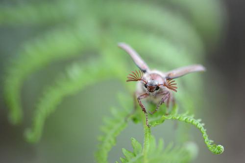 Abflug Abflug