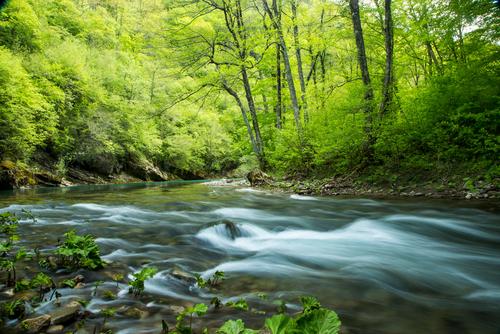 Oberlauf der Neretva in Bosnien-Herzegowina