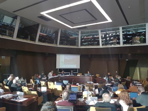 Sitzung des Ständigen Ausschusses der Berner Konvention in Straßburg