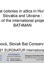 Protection of bat colonies in attics in Hungary, Romania, Slovakia and Ukraine -ongoing results of the international project HUSKROUA-BAT4MAN