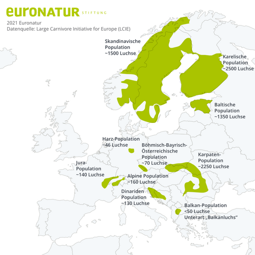 Verbreitungskarte Luchse Hier leben Luchse in Europa