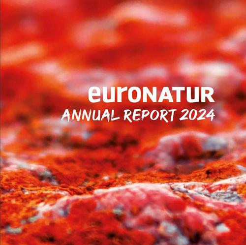 The cover page of the EuroNatur Annual Report 2024 showing a carpet of red lichen.