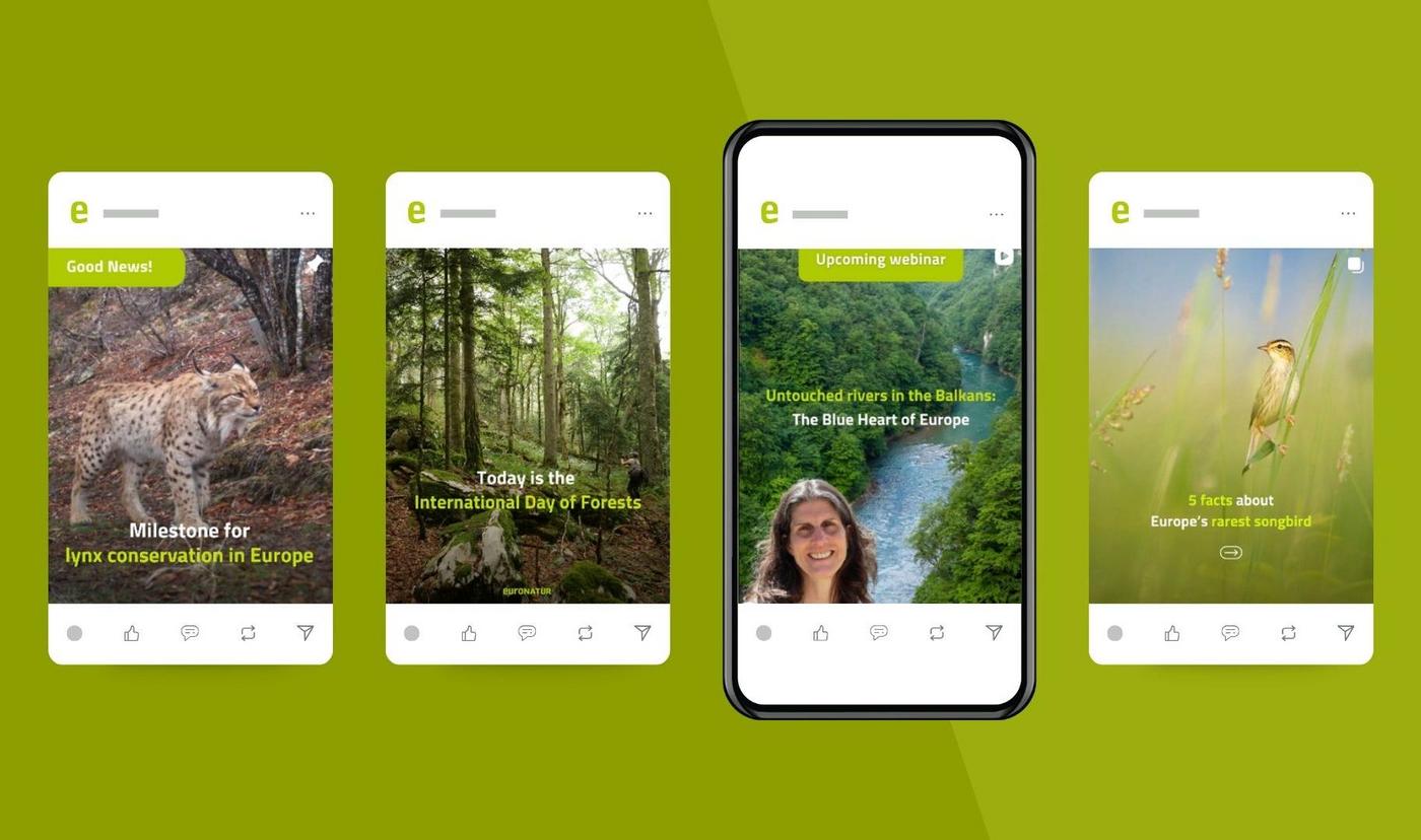 Mockups für EuroNatur-Social Media