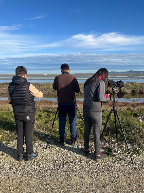 Freiwillige zählen in Albanien Wasservögel