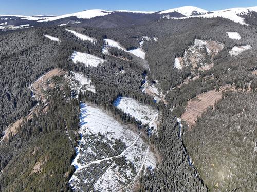 Clear-cut areas in the Carpathians