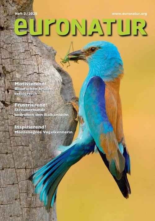 Titelseite des EuroNatur Magazin 2025/2