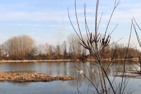 Save, Sava TIES, Tišina, Balkanflüsse