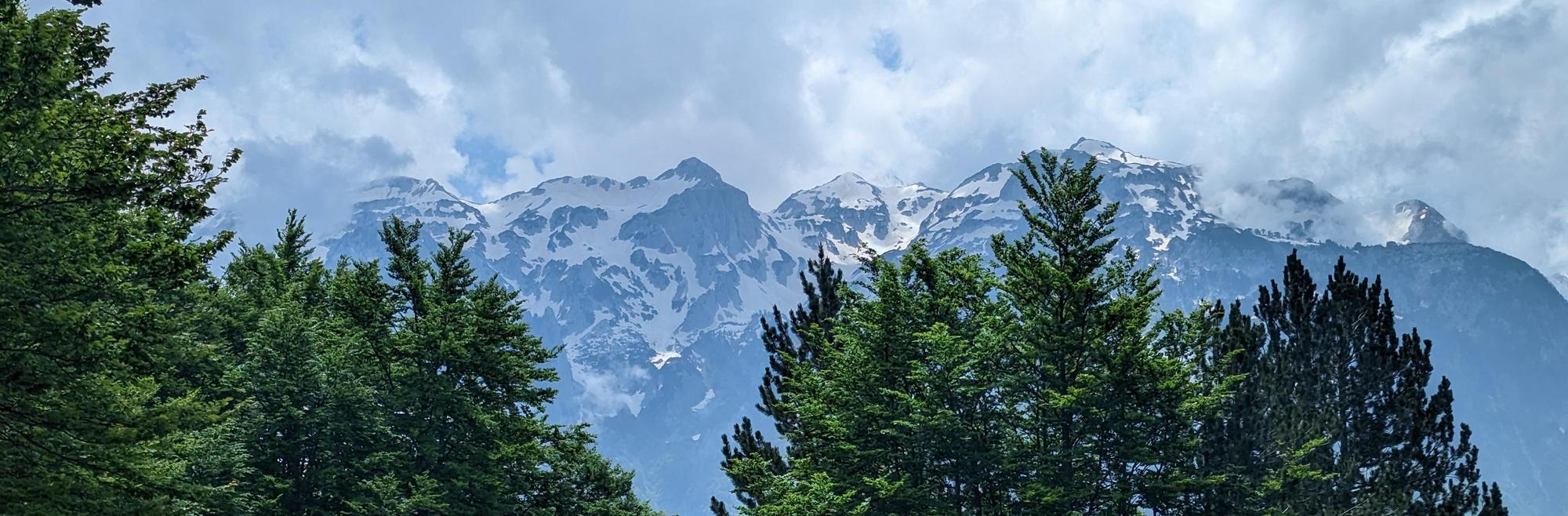 Conifers in front of snow-covered mountain peaks in Albania.