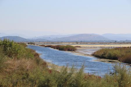 Die Saline Ulcinj in Montenegro ist ein Paradies für Wat- und Wasservögel