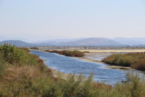 Ulcinj Salina in Montenegro is a bird's paradise