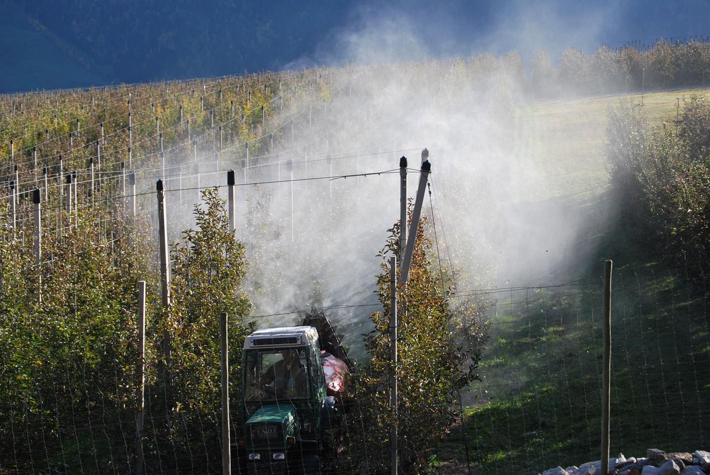 Pesticide-free zone for sustainable agriculture - EuroNatur