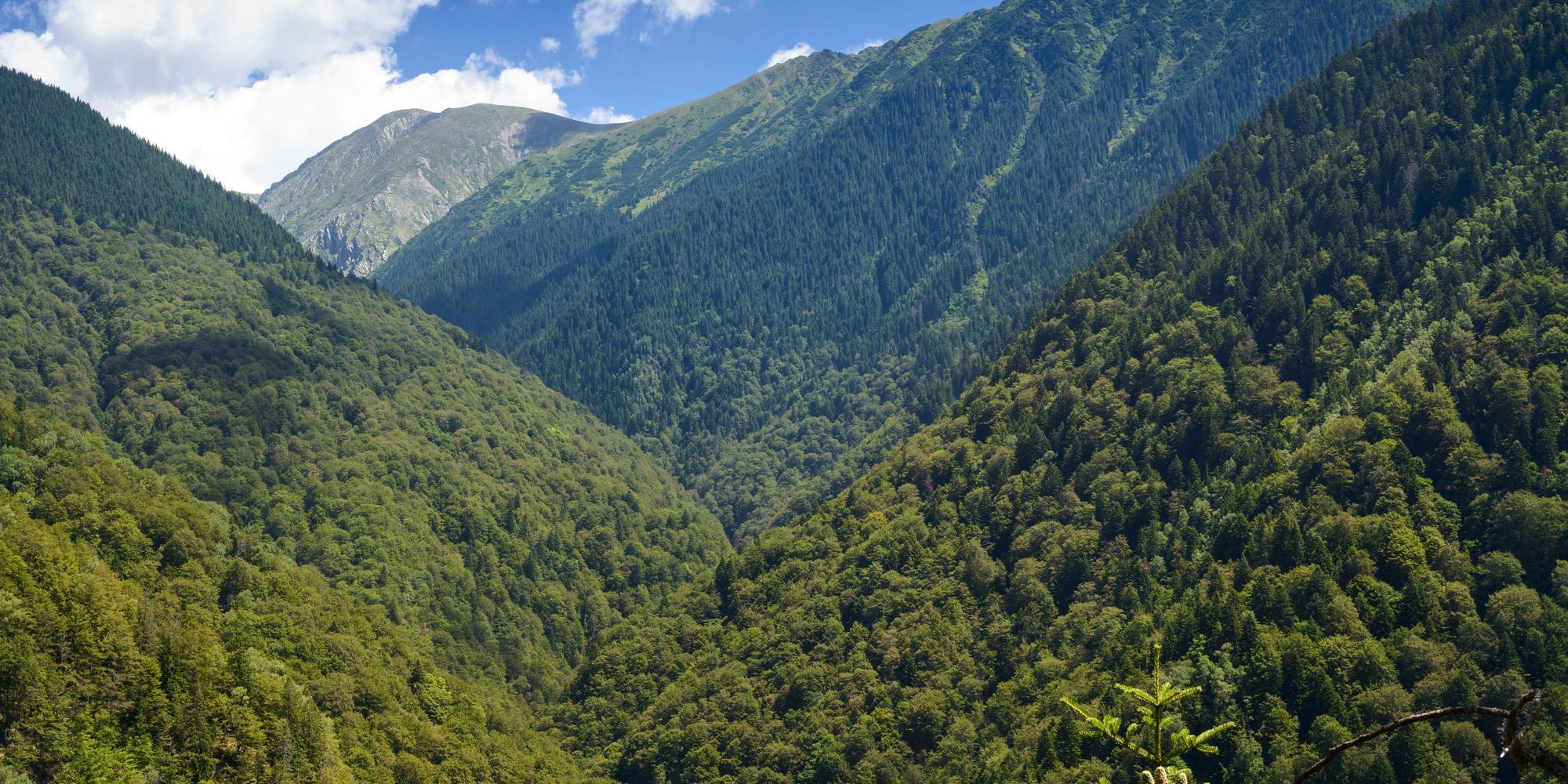 The Boia Mica valley in the Carpathians