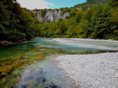 Wildfluss mit klarem Wasser und Schotterbänken