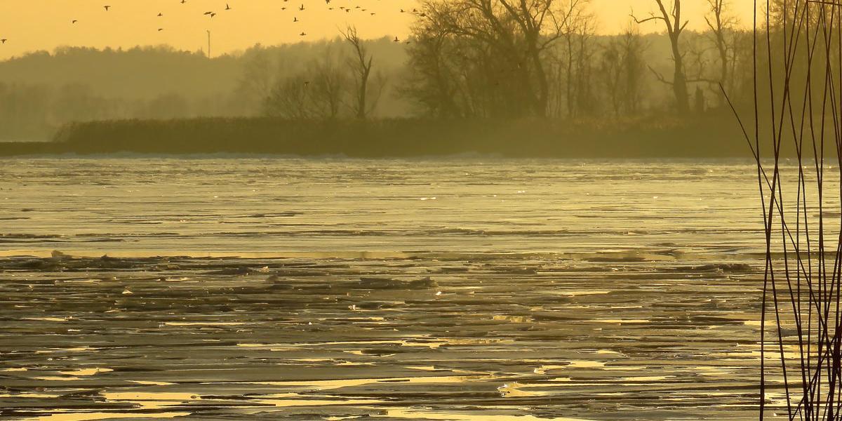 Ice floes on the Oder