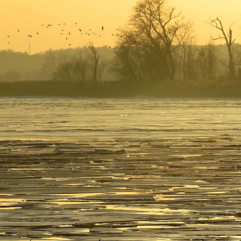 Eisschollen auf der Oder