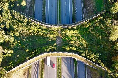 Grünbrücke ökologische Querungshilfe