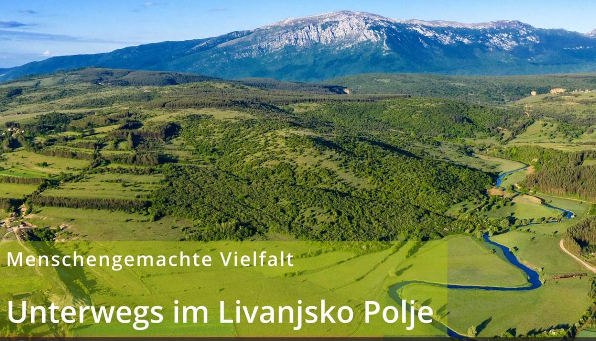 Startbildschirm für das Video Unterwegs im Livanjsko Polje