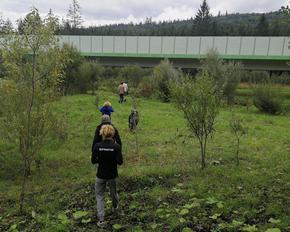 Menschen laufen durch eine Wiese zu einer Grünbrücke.