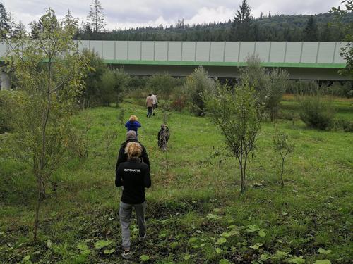 Menschen laufen durch eine Wiese zu einer Grünbrücke.