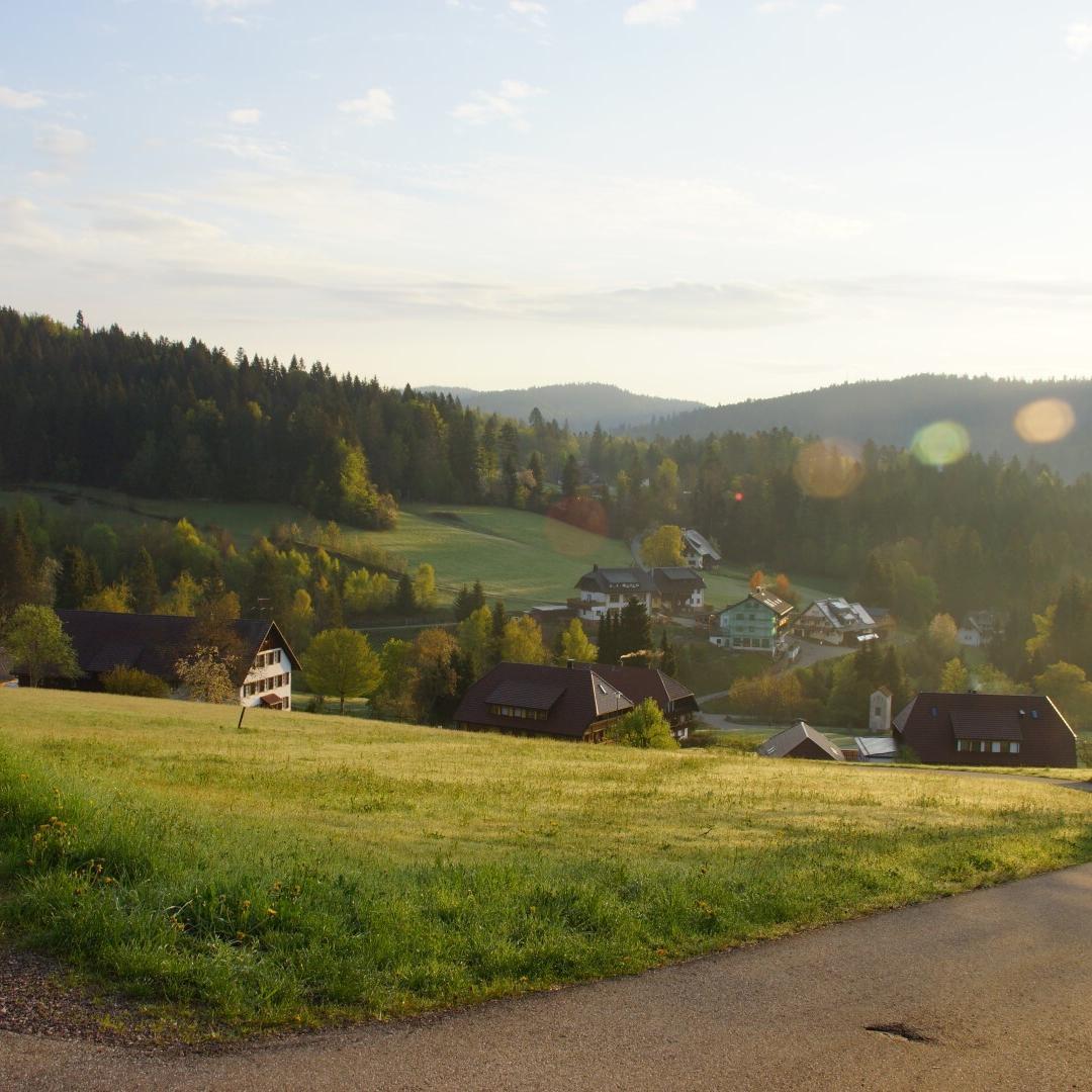 Eine Landschaft im Schwarzwald mit Wiesen, Wald und Häusern.