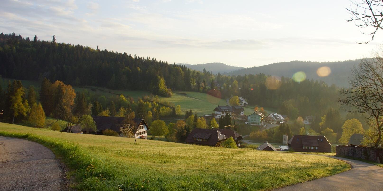 A landscape in the Black Forest with meadows, forest and houses.