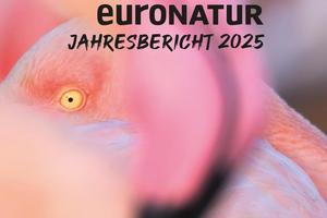 Titelblatt Jahresbericht 2025