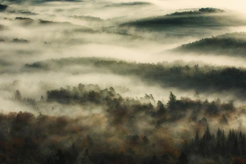 Hügelkuppen schauen aus einem Nebelfeld heraus
